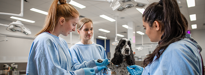 Veterinary Bioscience